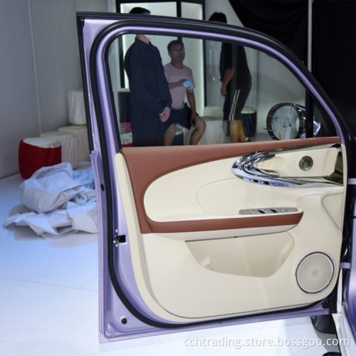 Ora Ballet Cat 5 Seale Mobility Car Electric per adulto